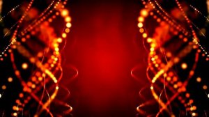 Футаж / Видео фон Красный красочный