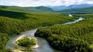 537. ♫ . Гелена Великанова - "Все ,что было"