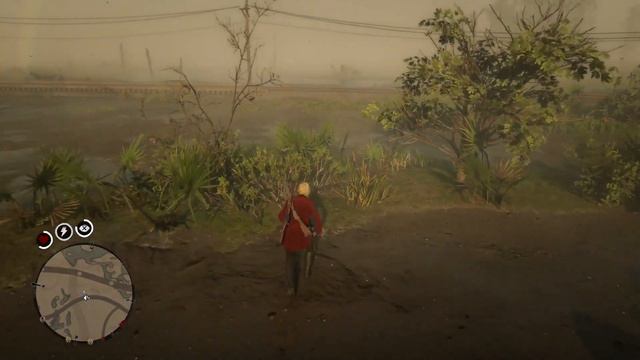 Rohrkolben Fundorte Red Dead Redemption 2 Online Deutsch / Germany смотреть онлайн