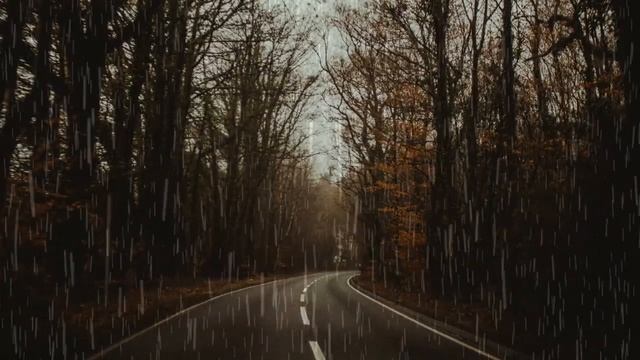 Relaxing Rain Sounds for Stress Relief and Anxiety #viral #viralvideo #subscribe #status смотреть онлайн