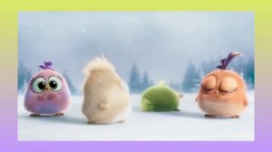 Angry Birds |  Hatchlings Cutest Moments