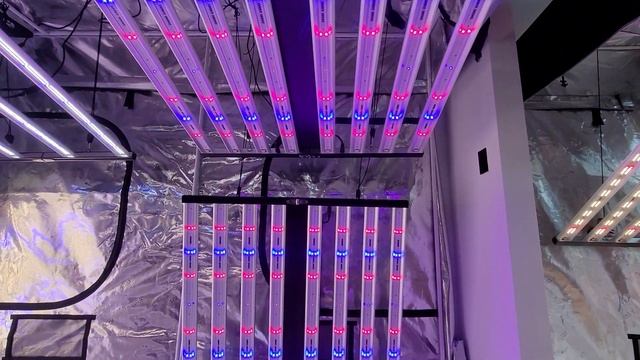 Optic LED Slim 650s Auto Sunrise/Sunset смотреть онлайн