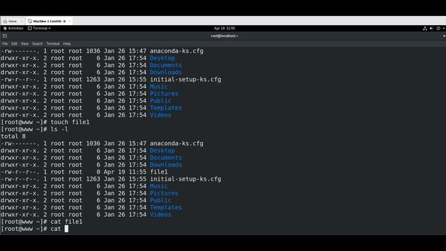 Basic commands of Linux OS | CentOS 7-8 Basic commands | cat commands | Create a directory in Linux смотреть онлайн
