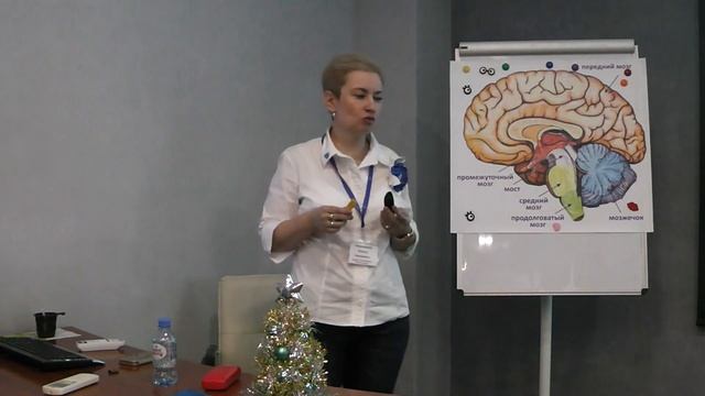 Эволюционная неврология на современном этапе. Нейропсихологические аспекты. смотреть онлайн