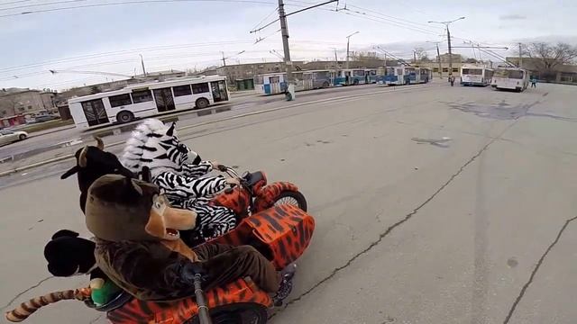 Открытие мото сезона 2015 , Тольятти , Урал тигр , ростовые костюмы , Звери на мото .... смотреть онлайн