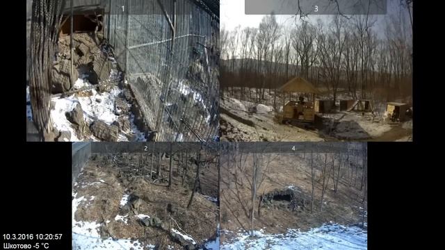 Архив веб-камер в Парке Амура и Тимура за 10.03.2016 смотреть онлайн