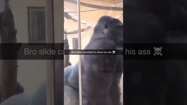 king Kong #oddlysatisfying смотреть онлайн