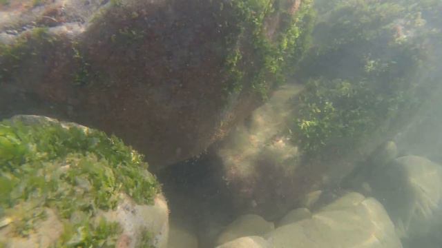 Морские глубины 4К смотреть онлайн