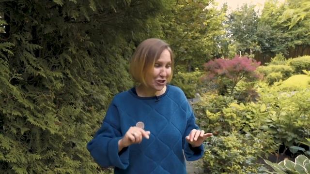 "Японский сад на участке". Елена Асташкина - ландшафтный архитектор смотреть онлайн