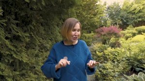 "Японский сад на участке". Елена Асташкина - ландшафтный архитектор