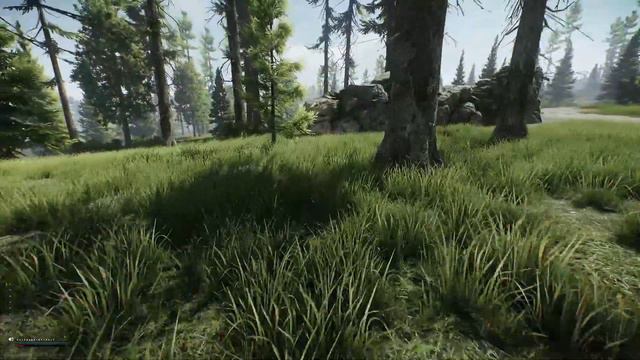 Let's Dick Around - Escape from Tarkov (SP Mod 0.12.8) - 13 The Long Walk смотреть онлайн