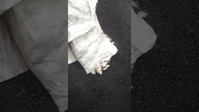 Рыбалка Астана смотреть онлайн