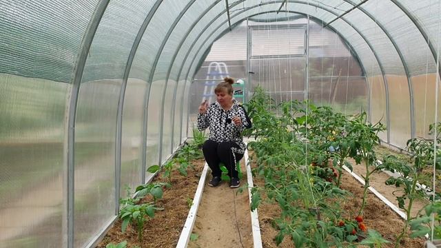 Как формировать перец для увеличения урожая. Коронный цветок у перца смотреть онлайн