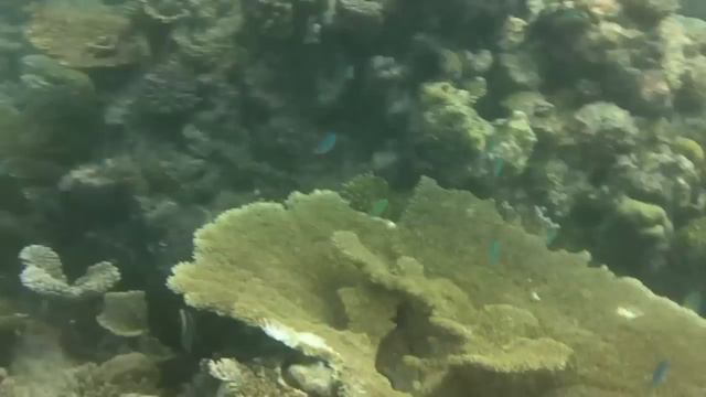 Maldives - Hydravion Seaplane / Snorkeling смотреть онлайн