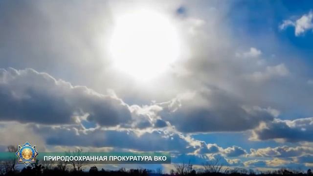 Загрязнение атмосферы смотреть онлайн