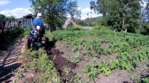 Минитрактор Нева и плуг