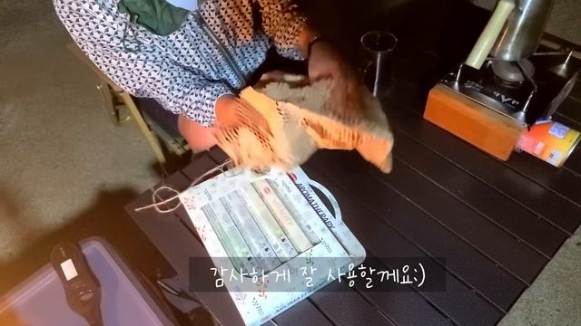 하루종일 폭우 내리는 오지계곡에서 혼자 폭우차박 우중캠핑 빗소리 asmr 도마치계곡 비소리 우중차박 смотреть онлайн