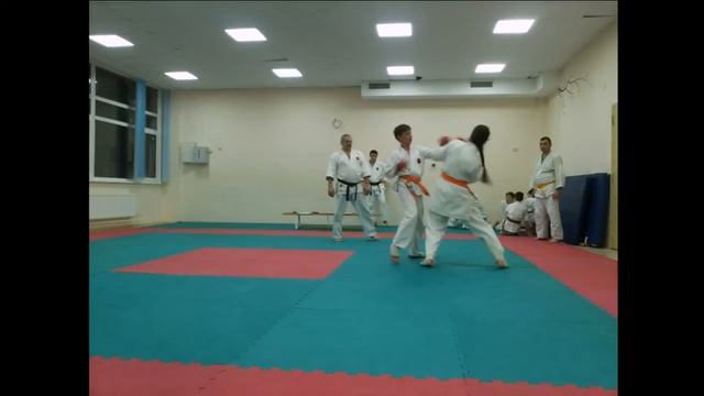 Аттестация по Годзю-рю! Каратэ кобудо кумитэ смотреть онлайн