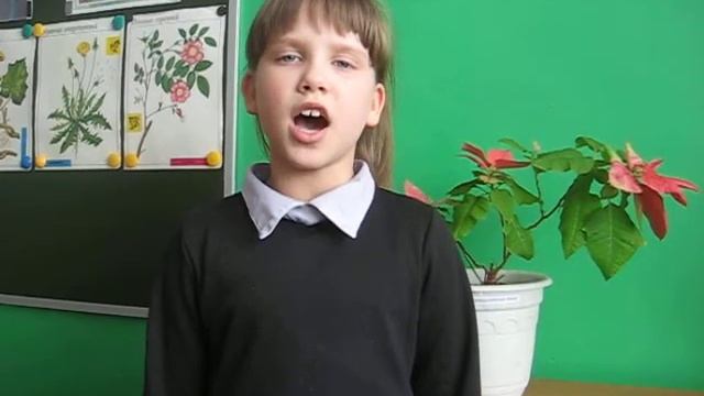 К.Симонов. «РОДИНА» смотреть онлайн