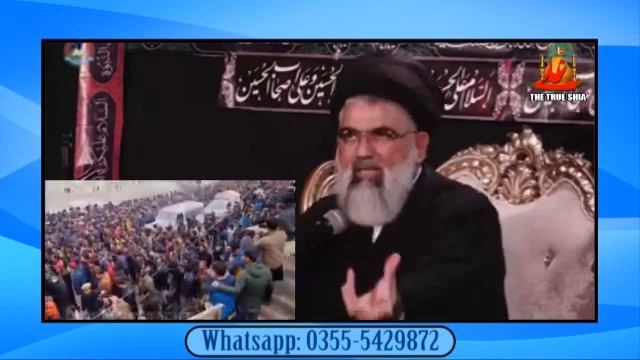 Kia Shia ki baqa ka ye Rasta hy? || Syed Jawad Naqvi HH смотреть онлайн