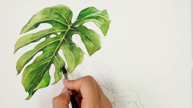 Watercolor Painting | Monstera