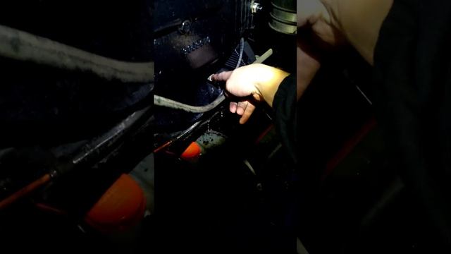 Laivas Bayliner Capri 175 ieziemošana смотреть онлайн