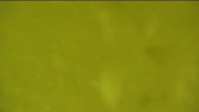 Поход выходного дня.