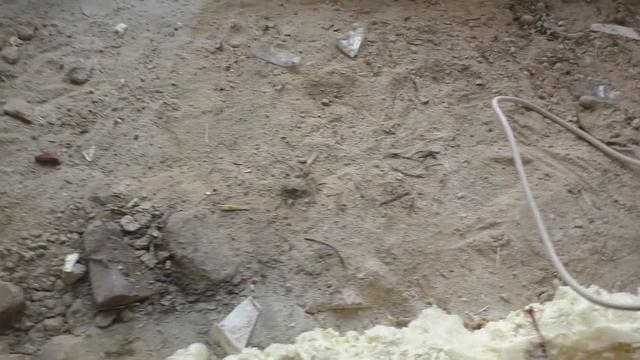 Птицы выклевали монтажную пену смотреть онлайн