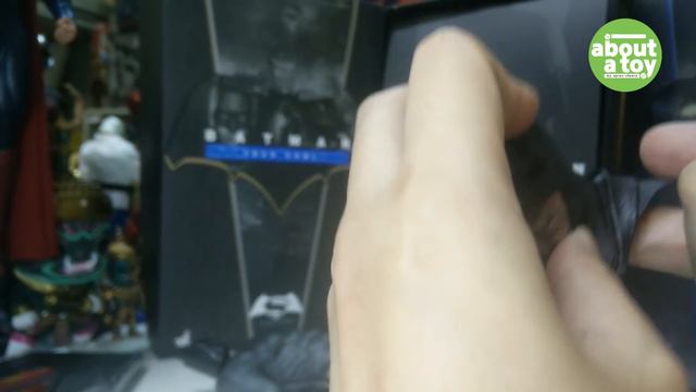 REVIEW : Hottoys BATMAN BVS [MMS 342]