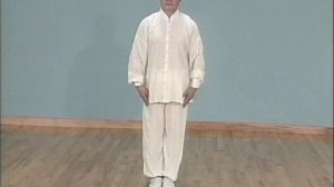 24 формы Тайцзы цюань Полный комплекс - вид спереди. Ч 2