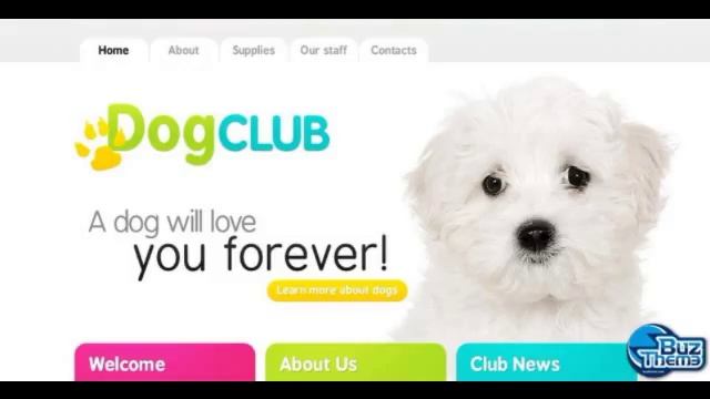 Download Dog PSD Template by Mercury TM PSD Templates смотреть онлайн
