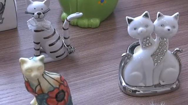 День кошек смотреть онлайн