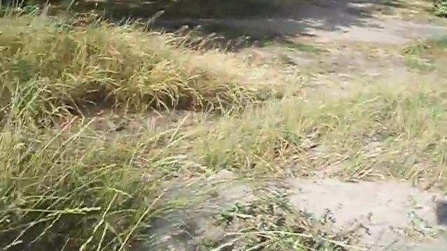 Запрещенное видео 2 (Александр Рис)