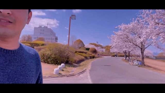 SAKURA VLOG смотреть онлайн