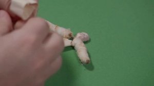 Как устроены старые ватные игрушки