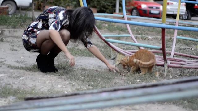 Рыжий котёнок смотреть онлайн