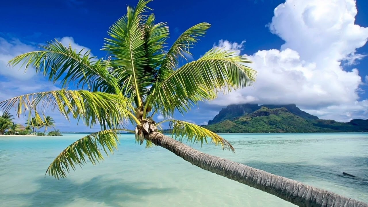 Beautiful Chill Music 2023 смотреть онлайн