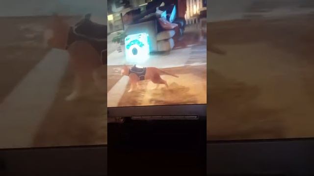 Продолжаем играть в Stray. история рыжего кота Рыжика. Часть 3. смотреть онлайн