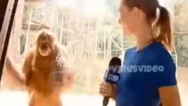 Когда увидел красивую девушку