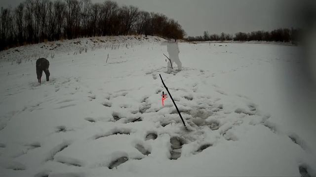 Зимняя рыбалка. Печень для язя смотреть онлайн