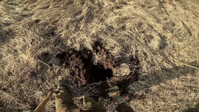 ПОЛТОРА ЧАСА КОПА. СТОИТ ЛИ ЕХАТЬ? смотреть онлайн