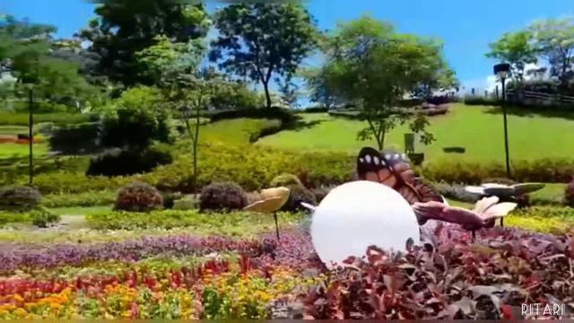 ada tanaman unik di taman meifoo hongkong #ritaribabukece @ritari7260 смотреть онлайн