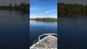 покатушки вятбот 390Р Тоха 18