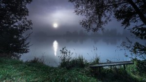 Лунная дорожка