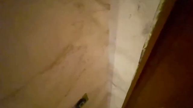 Загородная гармония и спокойствие