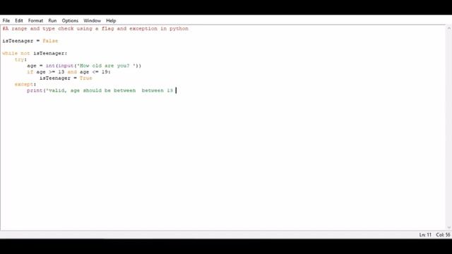 A range and type check using a flag and exception in python смотреть онлайн