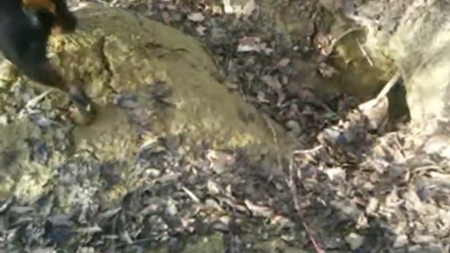 ягд и барсуки смотреть онлайн