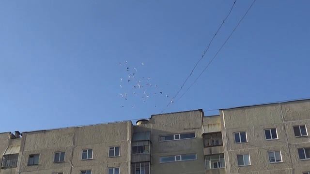 В НЕБЕ КОЛЛЕКЦИЯ ГОЛУБЕЙ ЮРИЯ НИКОНОВА смотреть онлайн
