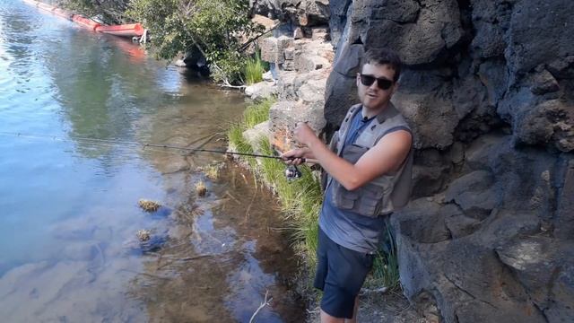 How To Use Flies With A Spinning Rod - 2 Easy Methods (Bubble And Fly + Dropshot Rig)