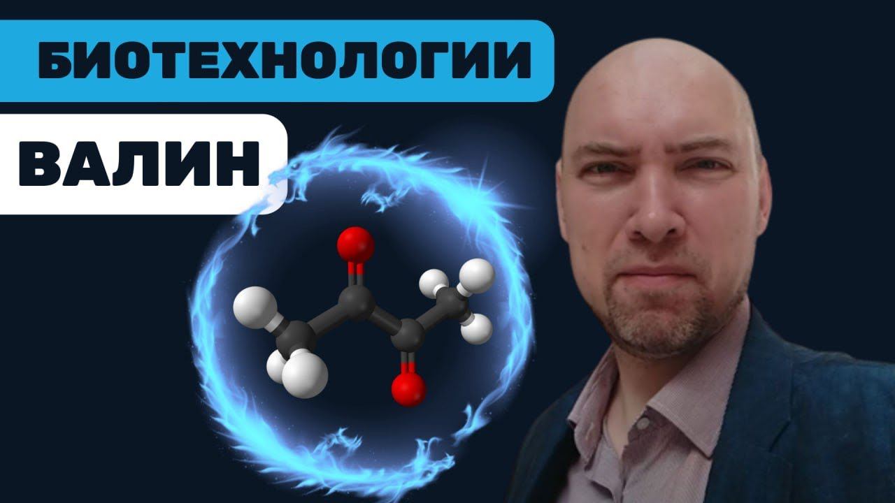 Что такое валин? Душкин объяснит смотреть онлайн